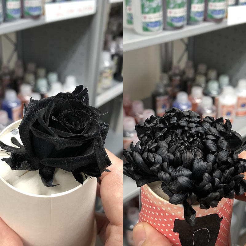 https://www.hanadaigaku.com/tenchoblog/images/blackflowers.jpg
