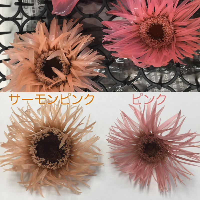 ガーベラできました プリザーブドフラワーの作り方教えます 花大学 店長ブログ